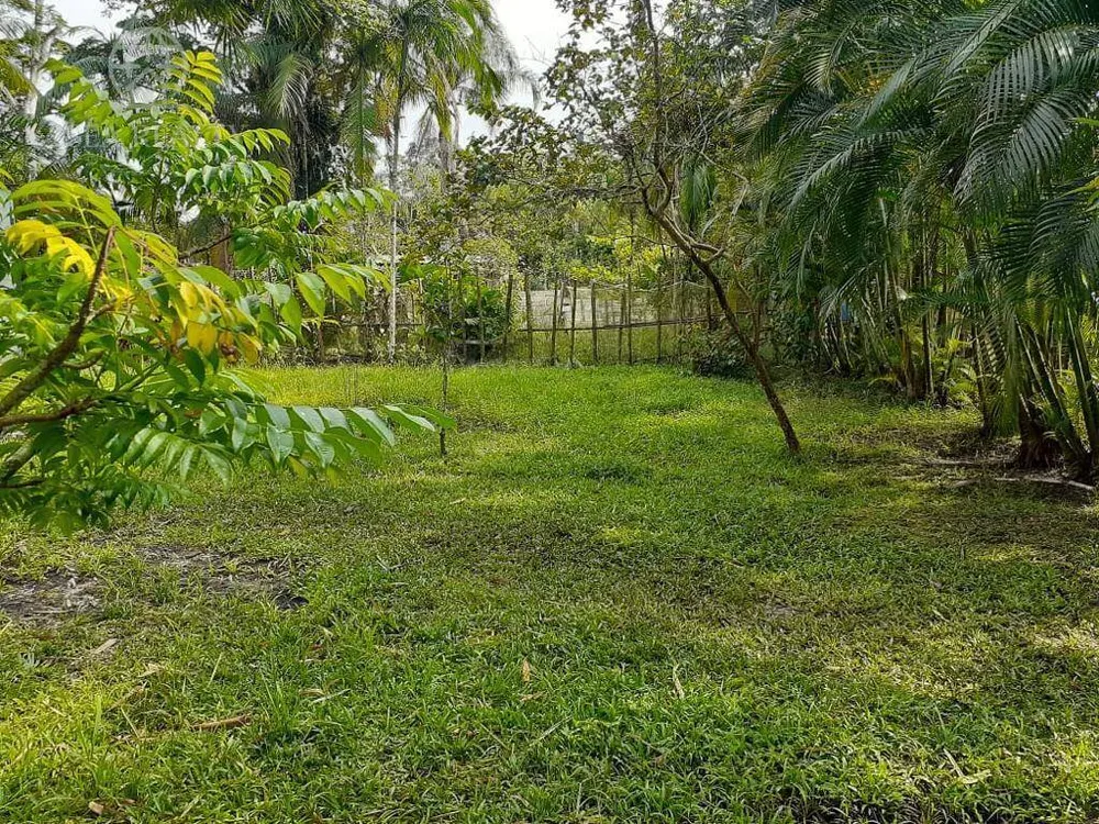 Terreno, 1000 m² - Foto 4