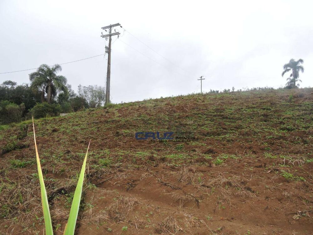 Sítio, 2 quartos, 2 hectares - Foto 12