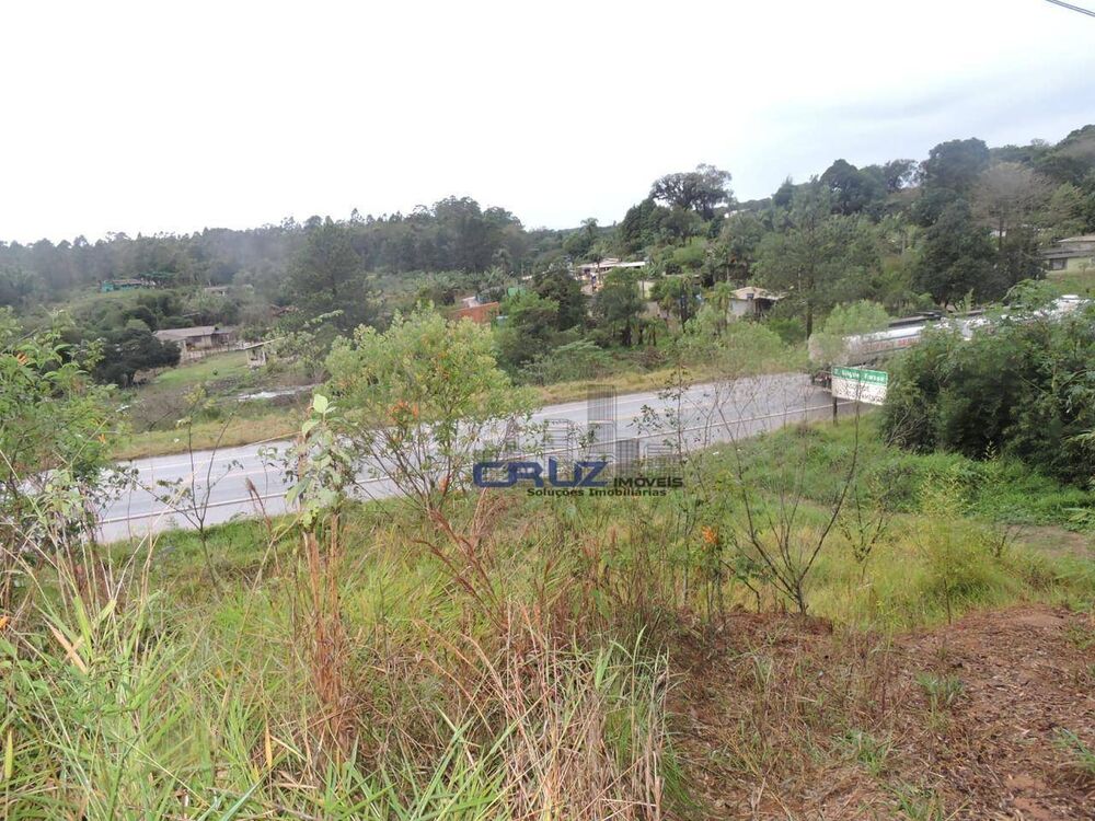 Sítio, 2 quartos, 2 hectares - Foto 1