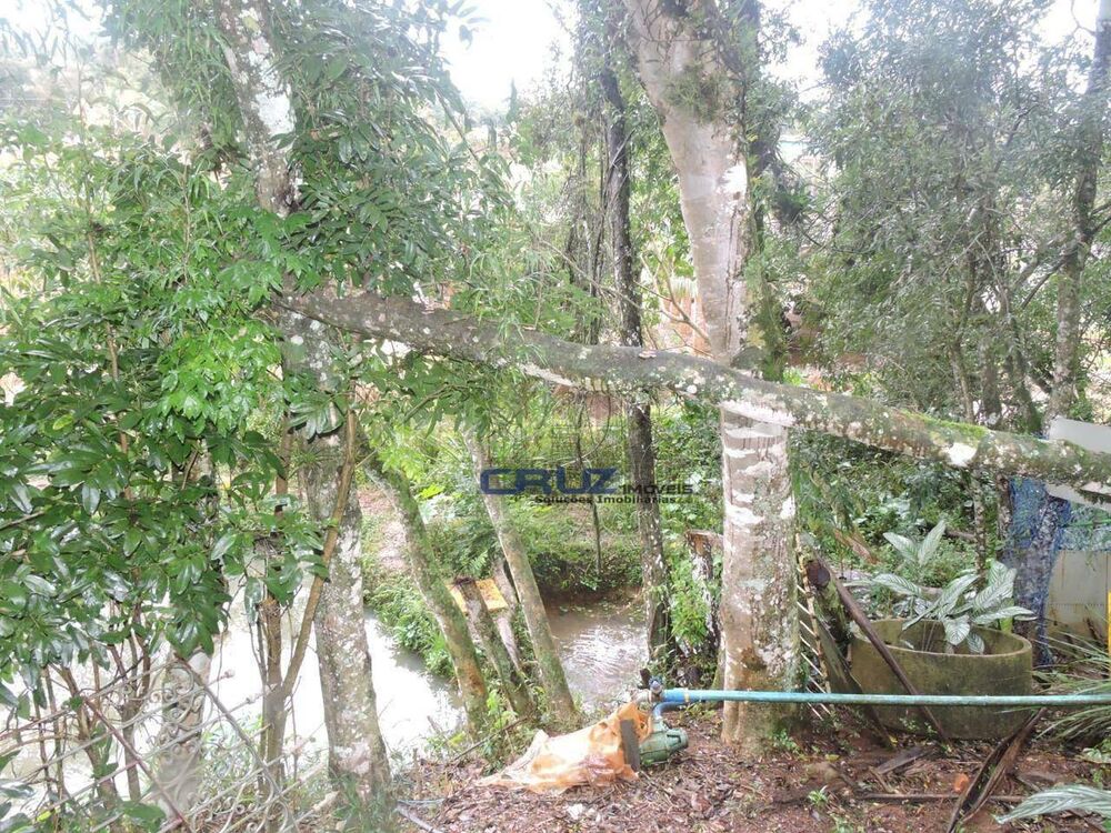 Sítio, 2 quartos, 2 hectares - Foto 4