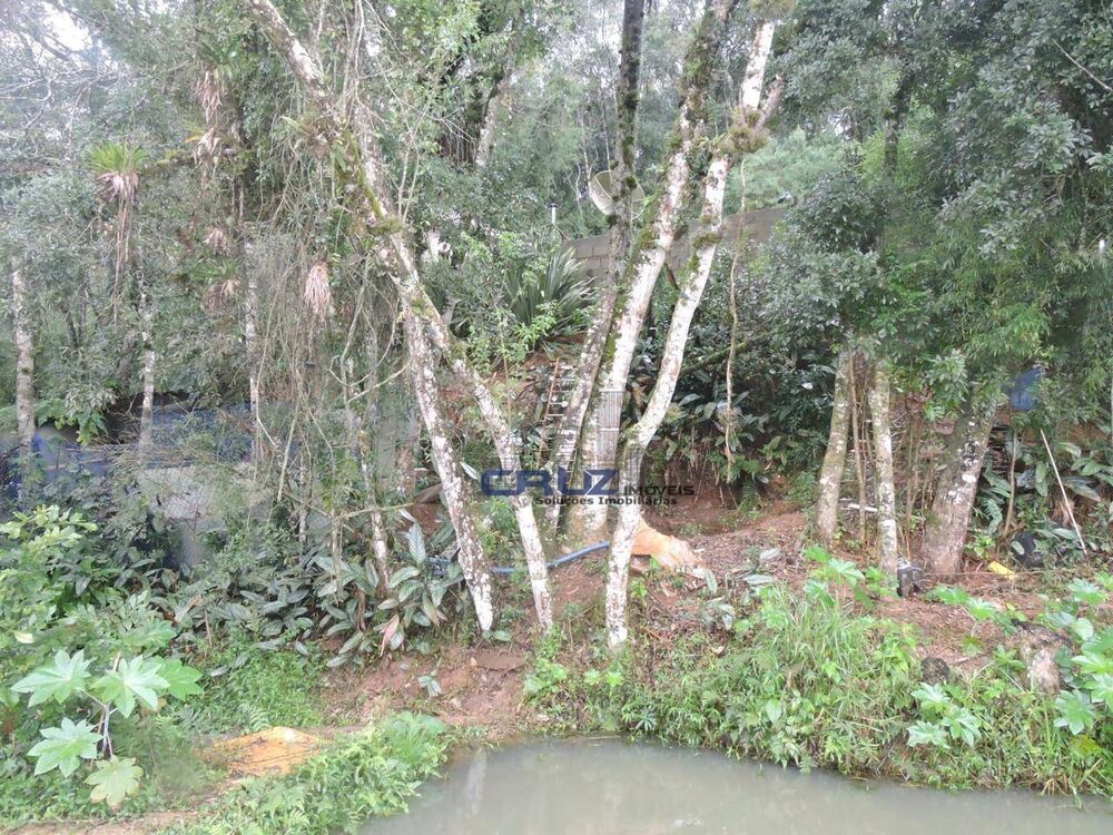 Sítio, 2 quartos, 2 hectares - Foto 2