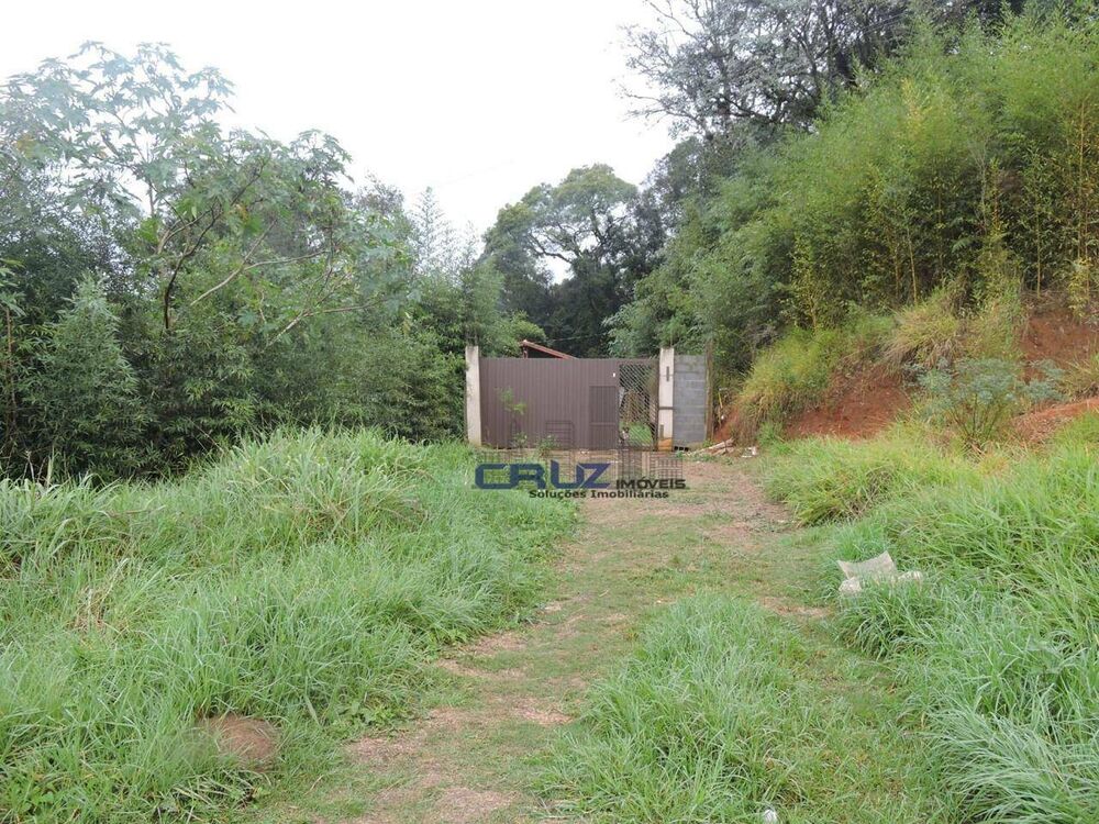 Sítio, 2 quartos, 2 hectares - Foto 10