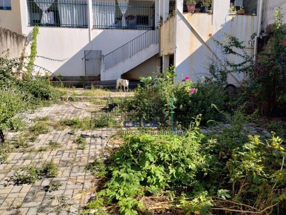 Casa, 5 quartos, 271 m² - Foto 14