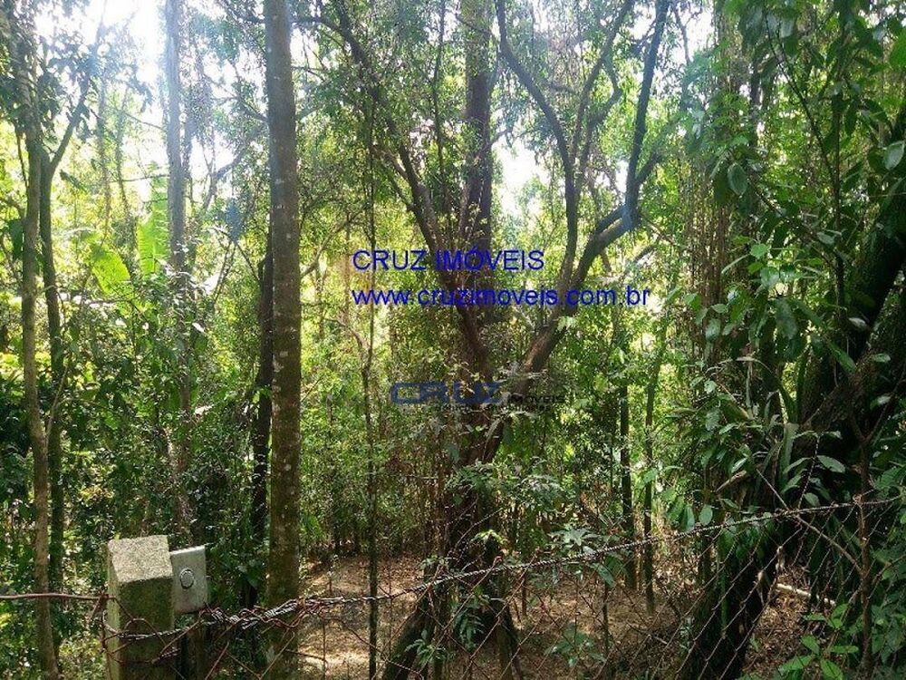 Chácara, 3 quartos, 2825 m² - Foto 12