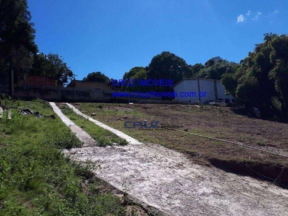 Chácara, 2 quartos, 4052 m² - Foto 10