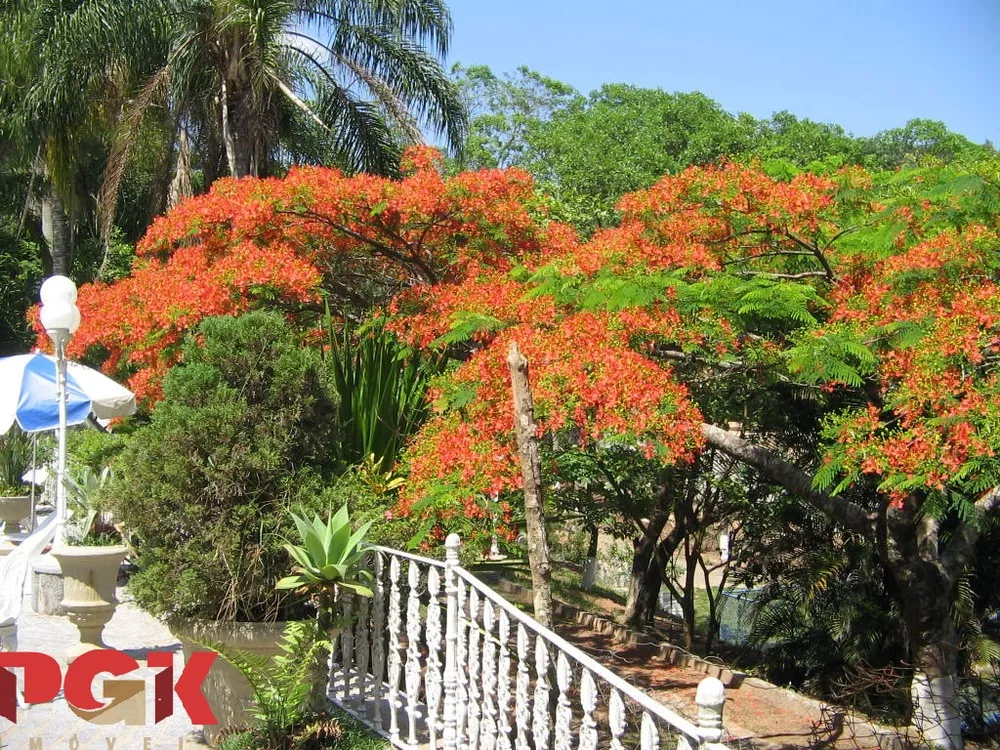 Chácara, 5 quartos - Foto 8