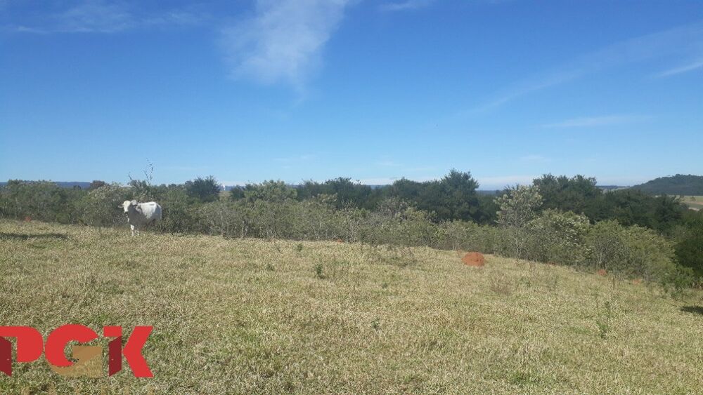 Terreno - Foto 7