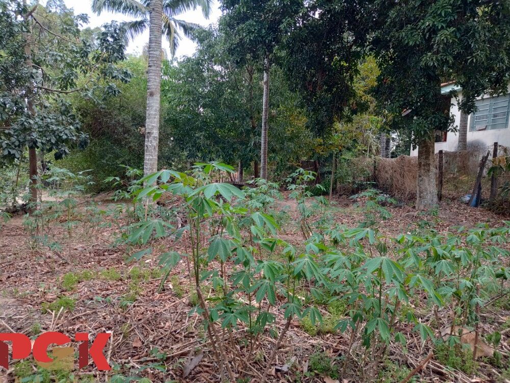 Terreno, 4857 m² - Foto 5