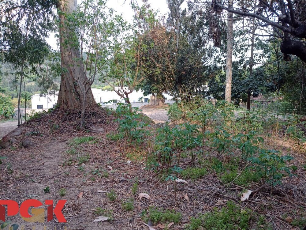 Terreno, 4857 m² - Foto 6