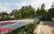 Terreno, 300 m² - Foto 6