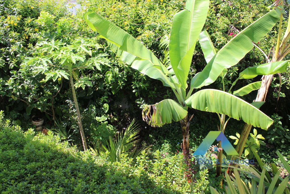 Sobrado, 4 quartos, 263 m² - Foto 6