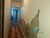 Sobrado, 2 quartos, 165 m² - Foto 3