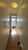 Cobertura, 4 quartos, 252 m² - Foto 2