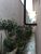 Casa, 5 quartos, 260 m² - Foto 1