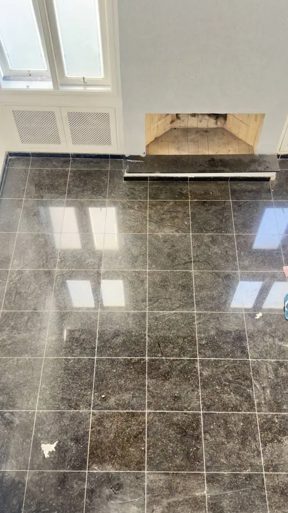 Casa, 4 quartos, 350 m² - Foto 6