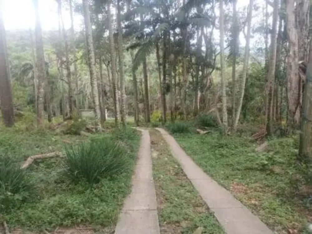 Chácara, 4 quartos, 3500 m² - Foto 5