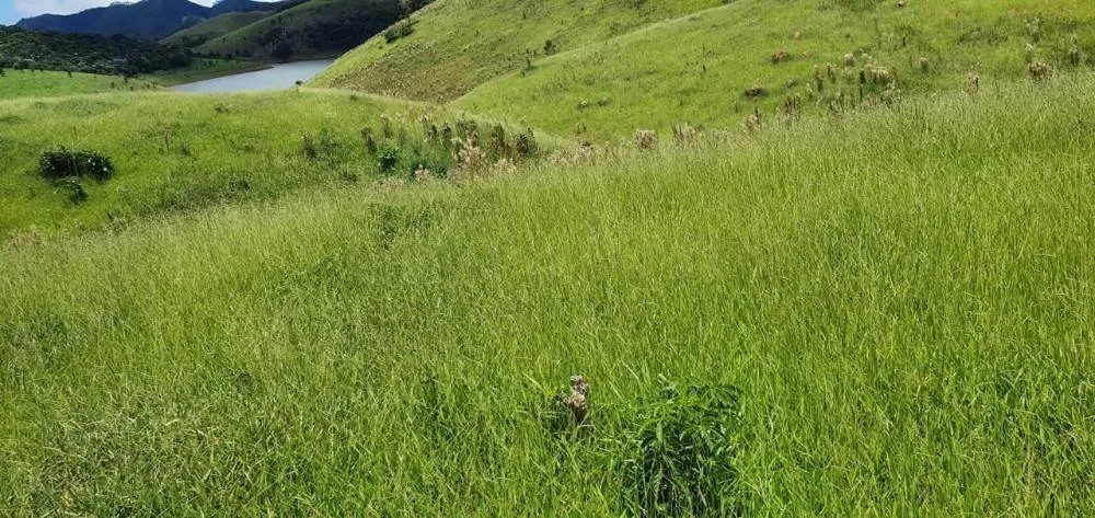 Terreno, 140 m² - Foto 1