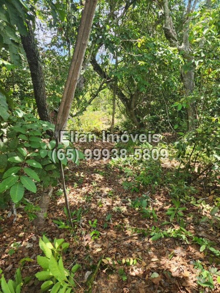 Terreno à venda, 8518m² - Foto 3