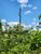 Terreno, 8518 m² - Foto 4