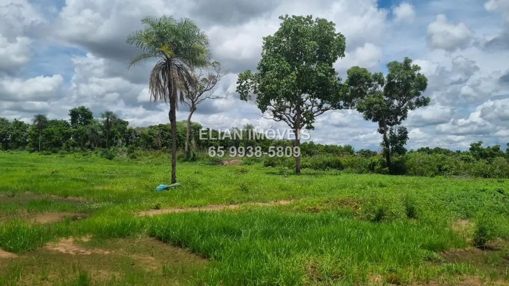 Terreno à venda - Foto 6