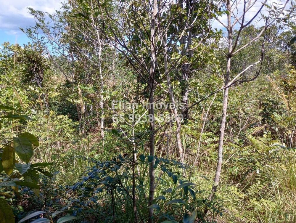 Terreno, 10 m² - Foto 3