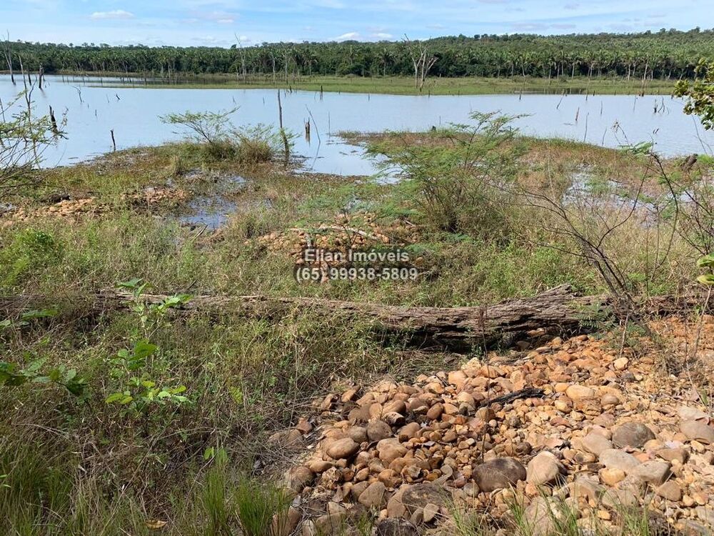 Fazenda à venda com 2 quartos, 93000m² - Foto 5