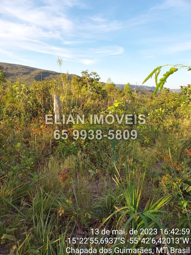 Fazenda à venda com 2 quartos, 40000m² - Foto 4