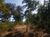 Terreno, 27000 m² - Foto 5