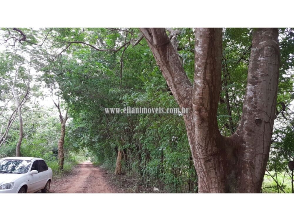 Chácara, 1 quarto - Foto 3