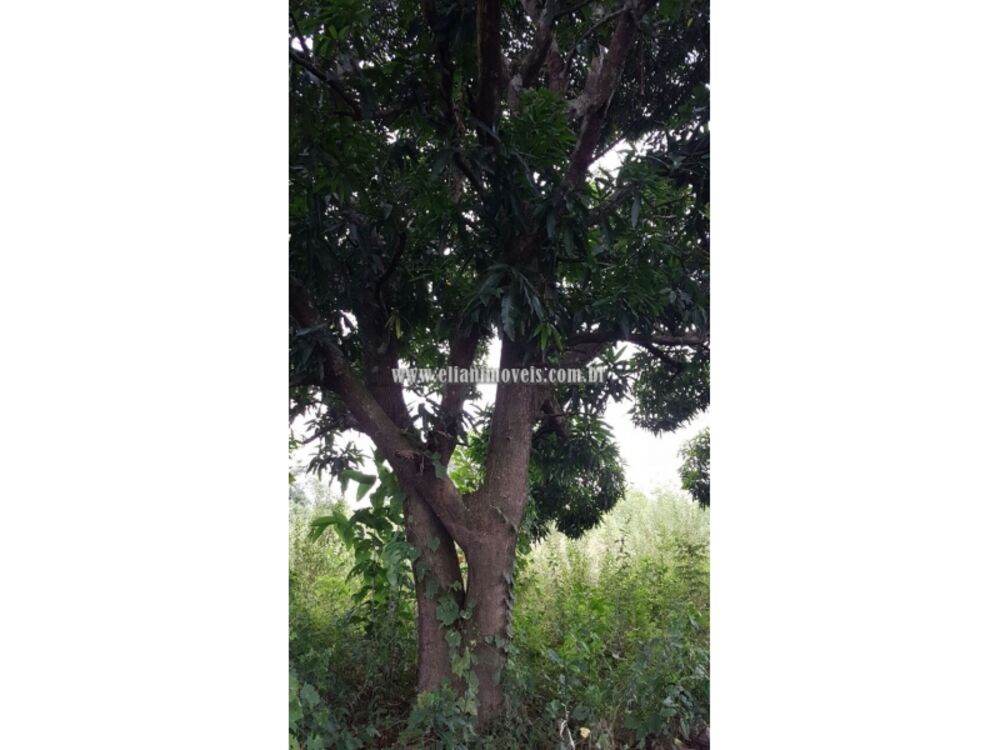 Chácara, 1 quarto - Foto 1