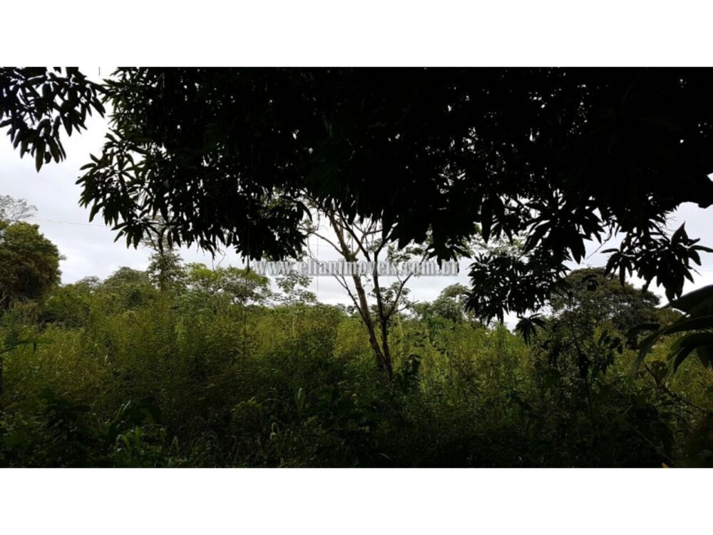 Chácara, 1 quarto - Foto 4