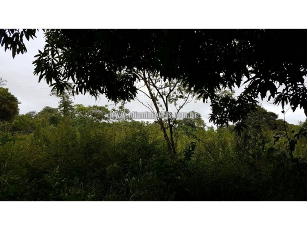 Chácara, 1 quarto - Foto 2