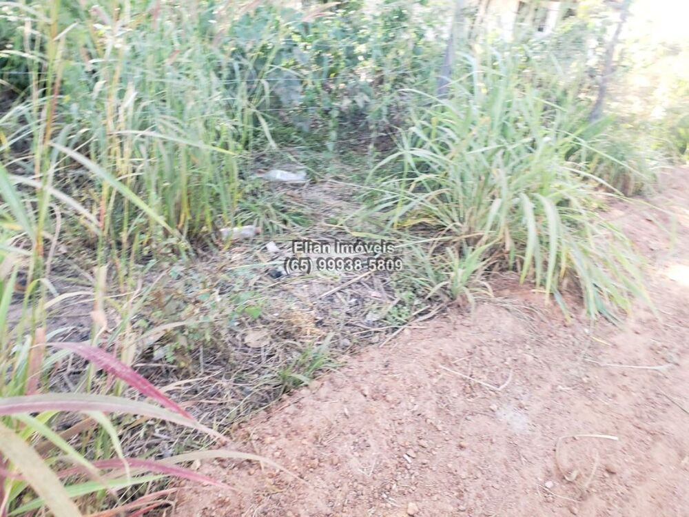 Terreno - Foto 3