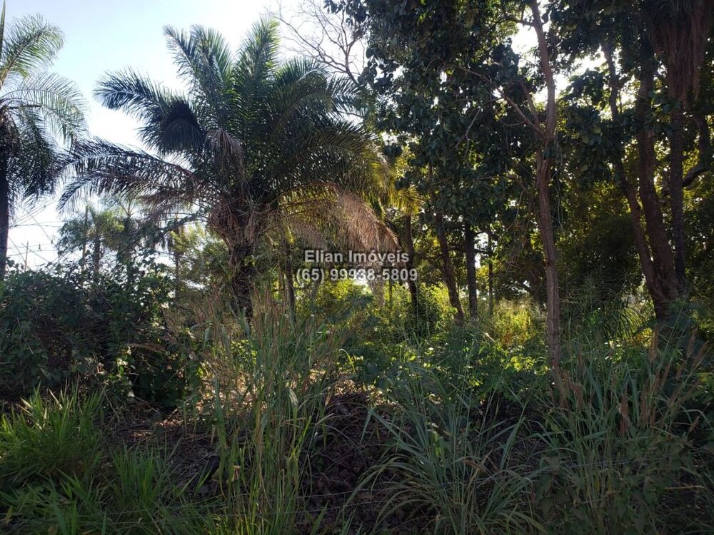 Terreno - Foto 2