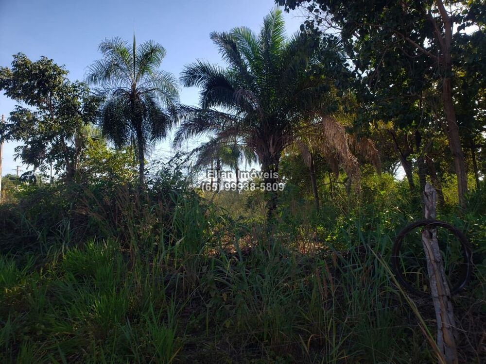 Terreno - Foto 1