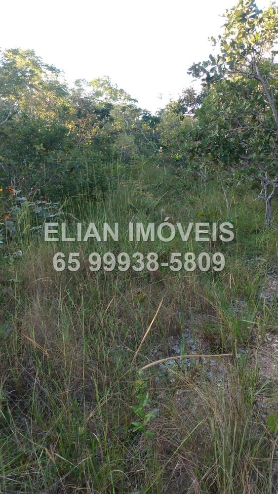 Terreno, 50000 m² - Foto 4