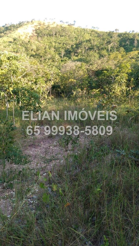 Terreno, 50000 m² - Foto 1