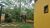 Sobrado, 2 quartos, 100 m² - Foto 14