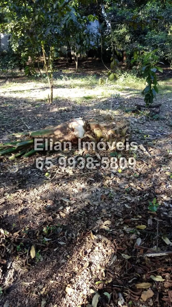 Fazenda à venda com 4 quartos, 900m² - Foto 4