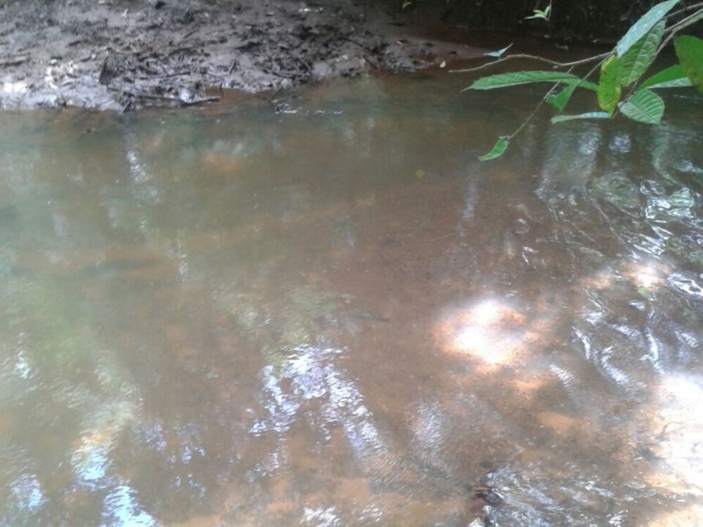 Chácara, 1 quarto - Foto 3