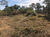 Terreno, 560 m² - Foto 1