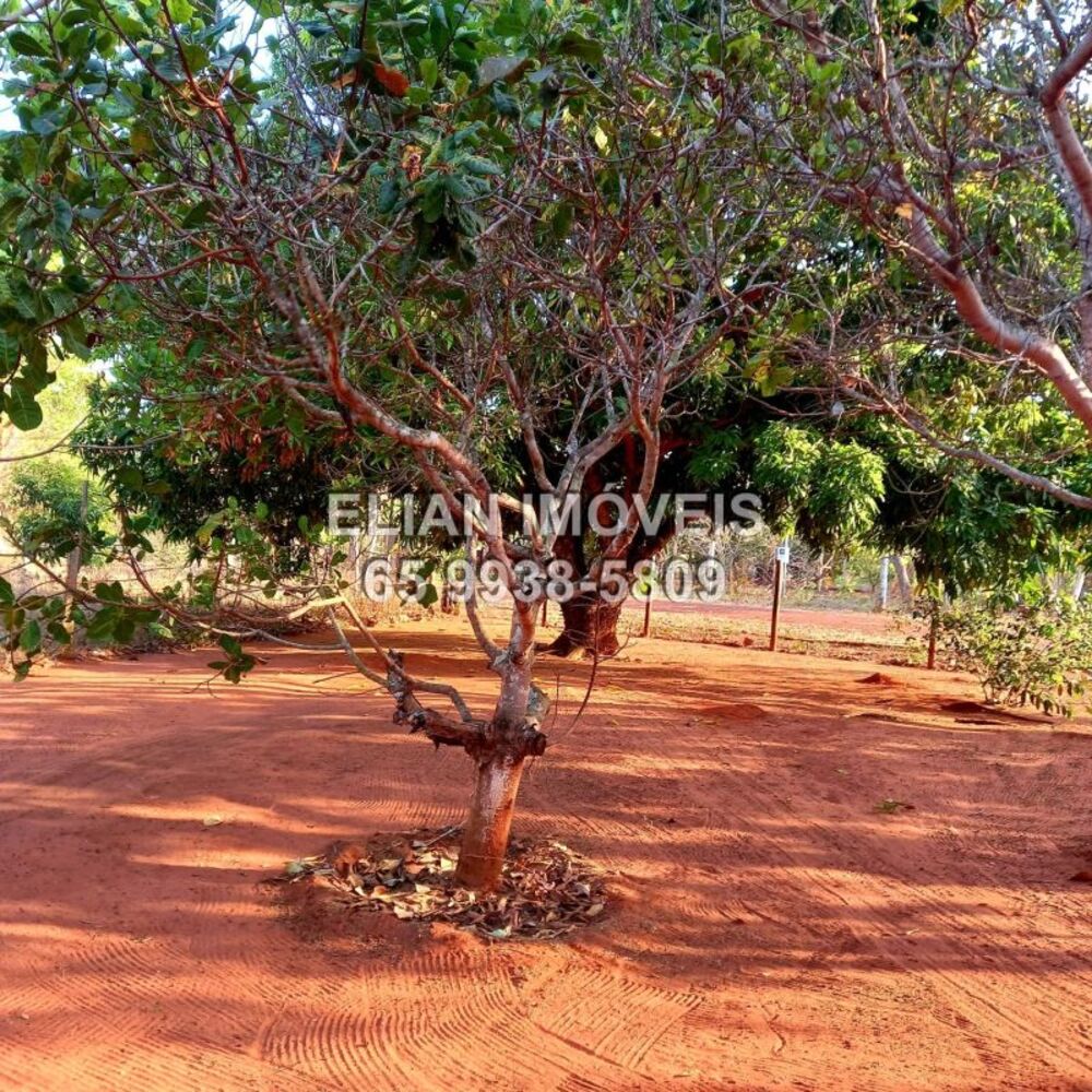 Chácara, 2 quartos - Foto 4