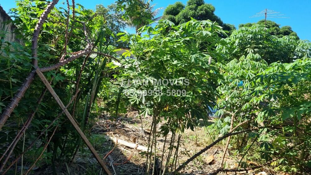 Terreno, 250 m² - Foto 3