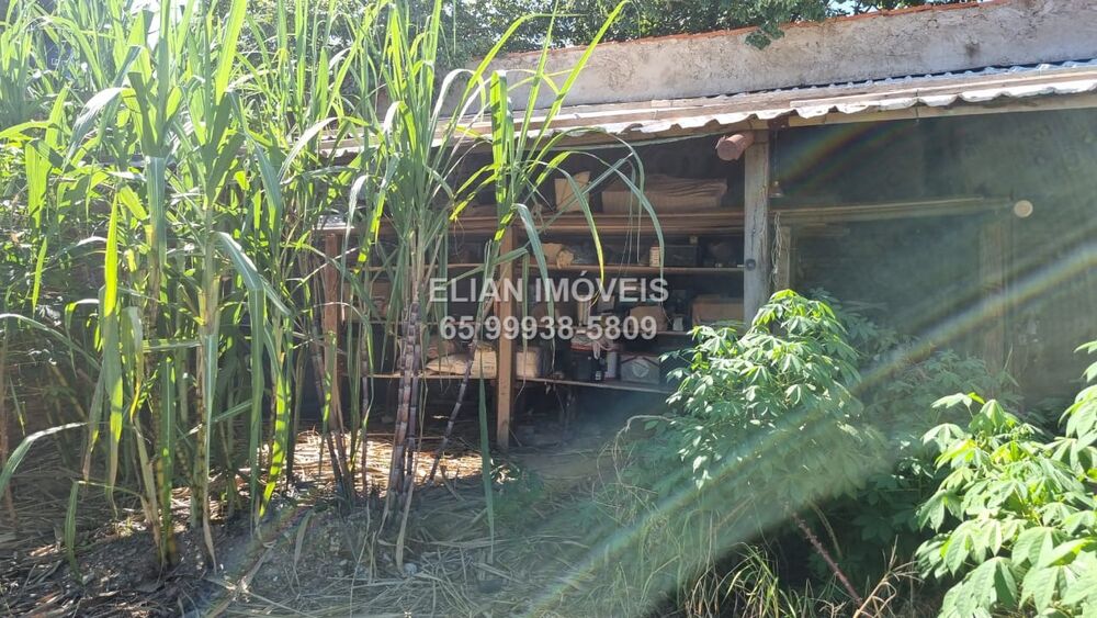 Terreno, 250 m² - Foto 2