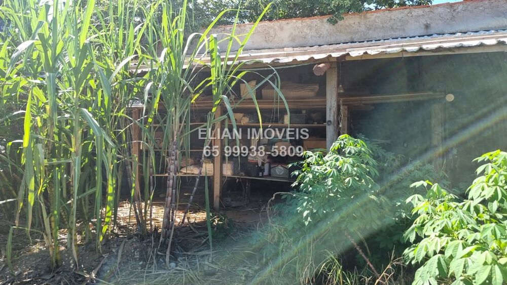 Terreno, 250 m² - Foto 4