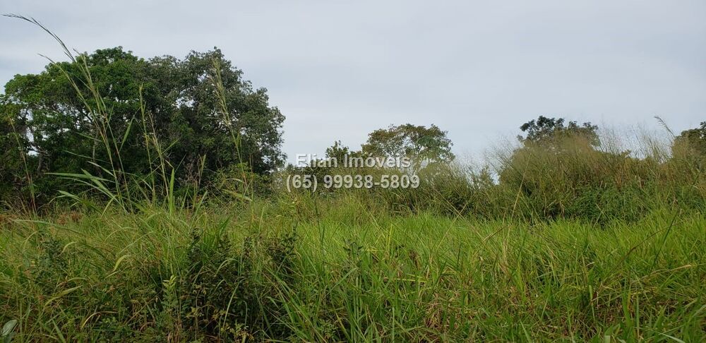 Terreno - Foto 2