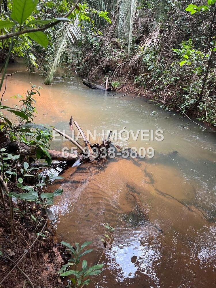 Chácara, 2 quartos - Foto 8