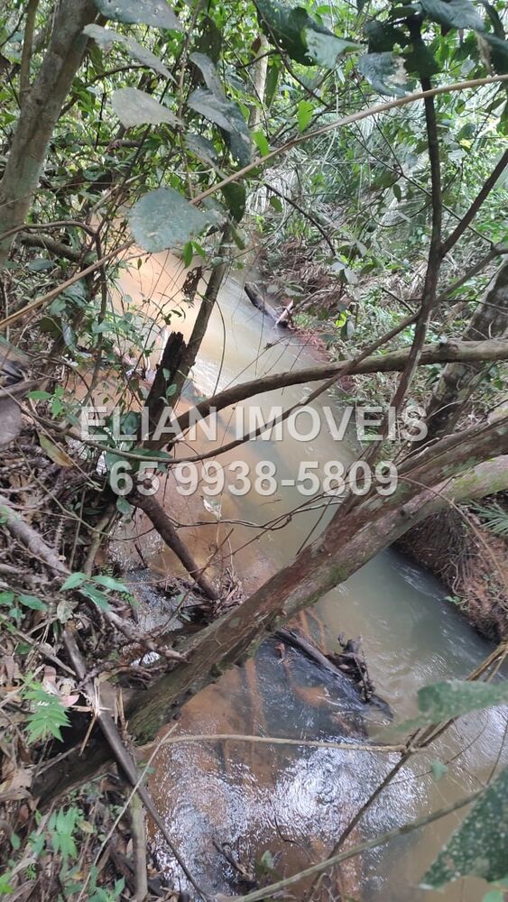 Chácara, 2 quartos - Foto 9