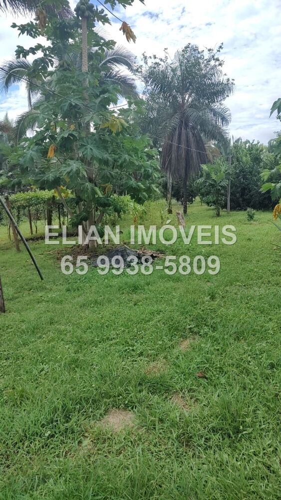 Chácara, 2 quartos - Foto 7