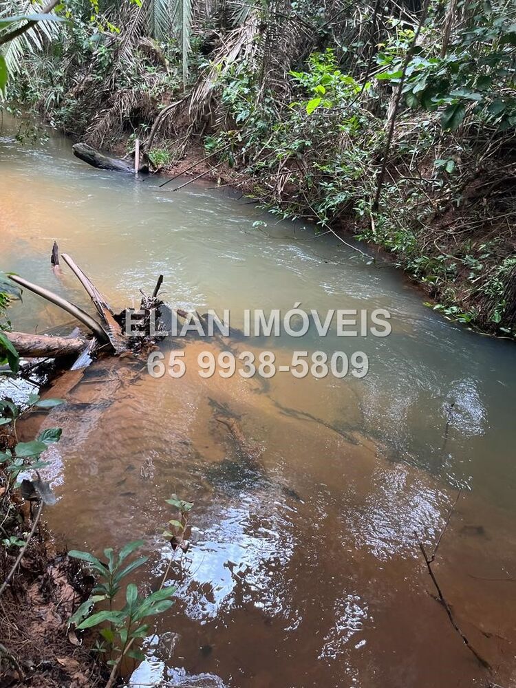 Chácara, 2 quartos - Foto 12